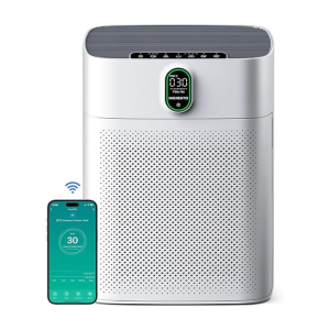 Smart Air Purifier